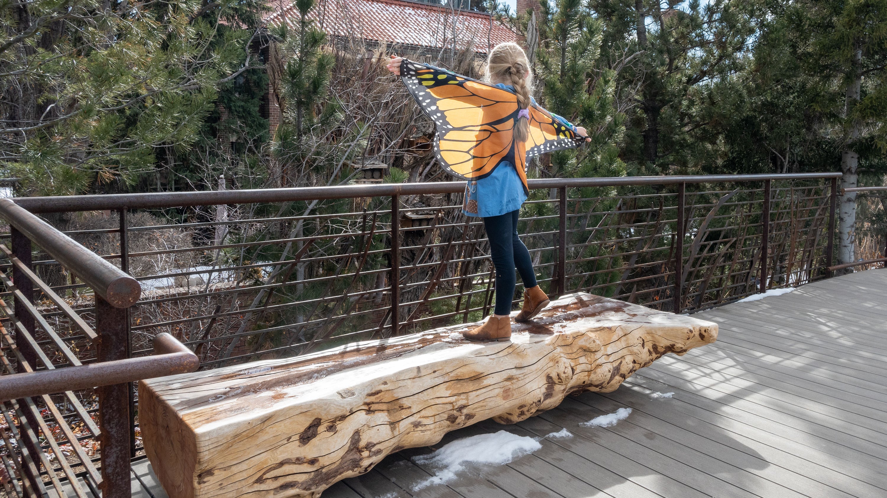 Fallen Tree Seating Project + IIDA BEST Awards 2024