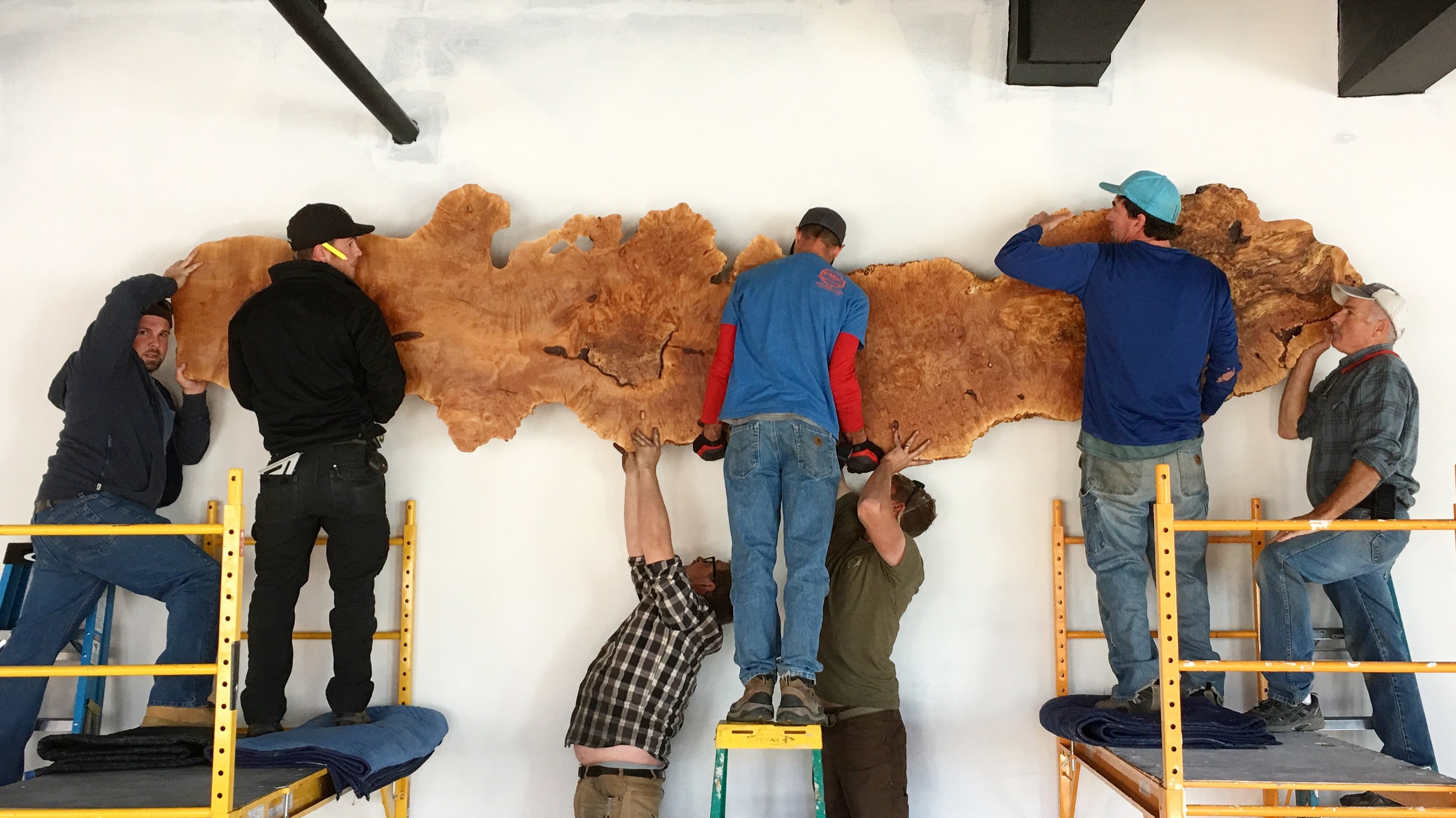 Environmental biophilic art. Wood on the wall. Team hanging a burl on the wall.