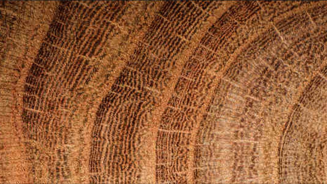 New ways to get to know us!