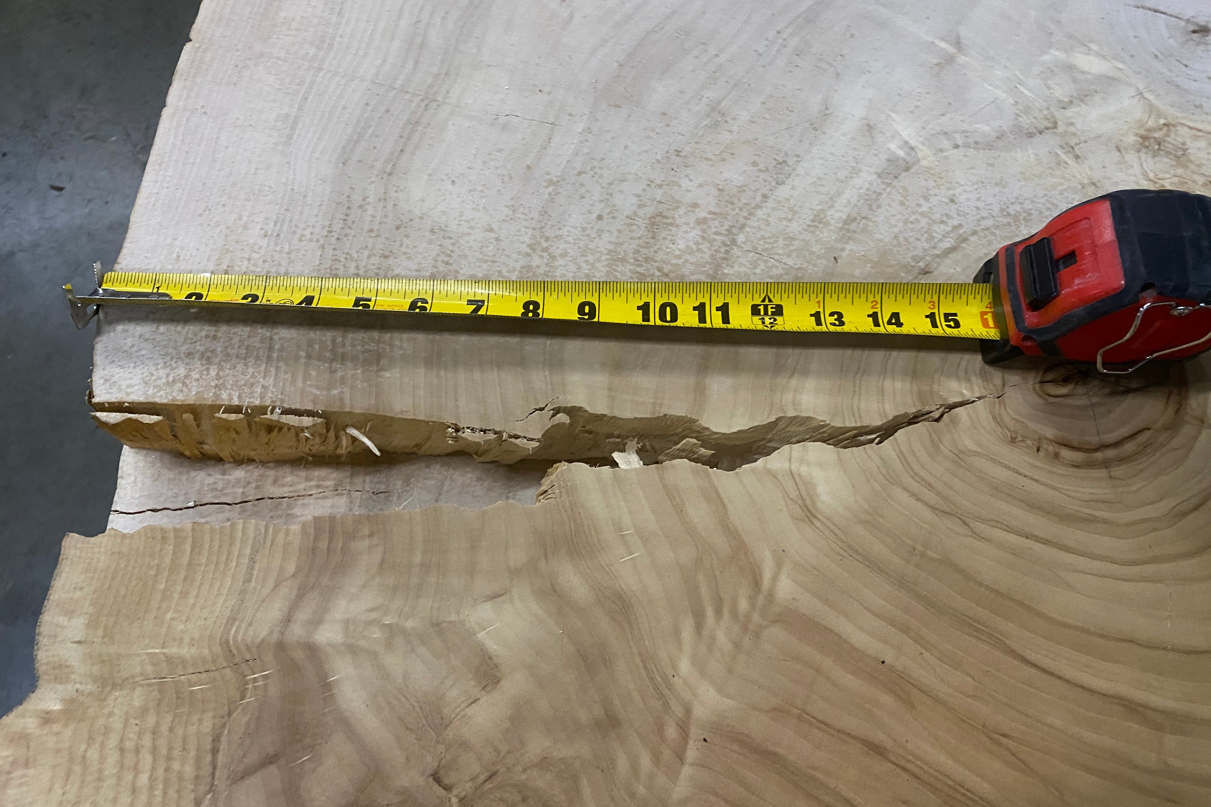 Cottonwood Round Slab of Wood