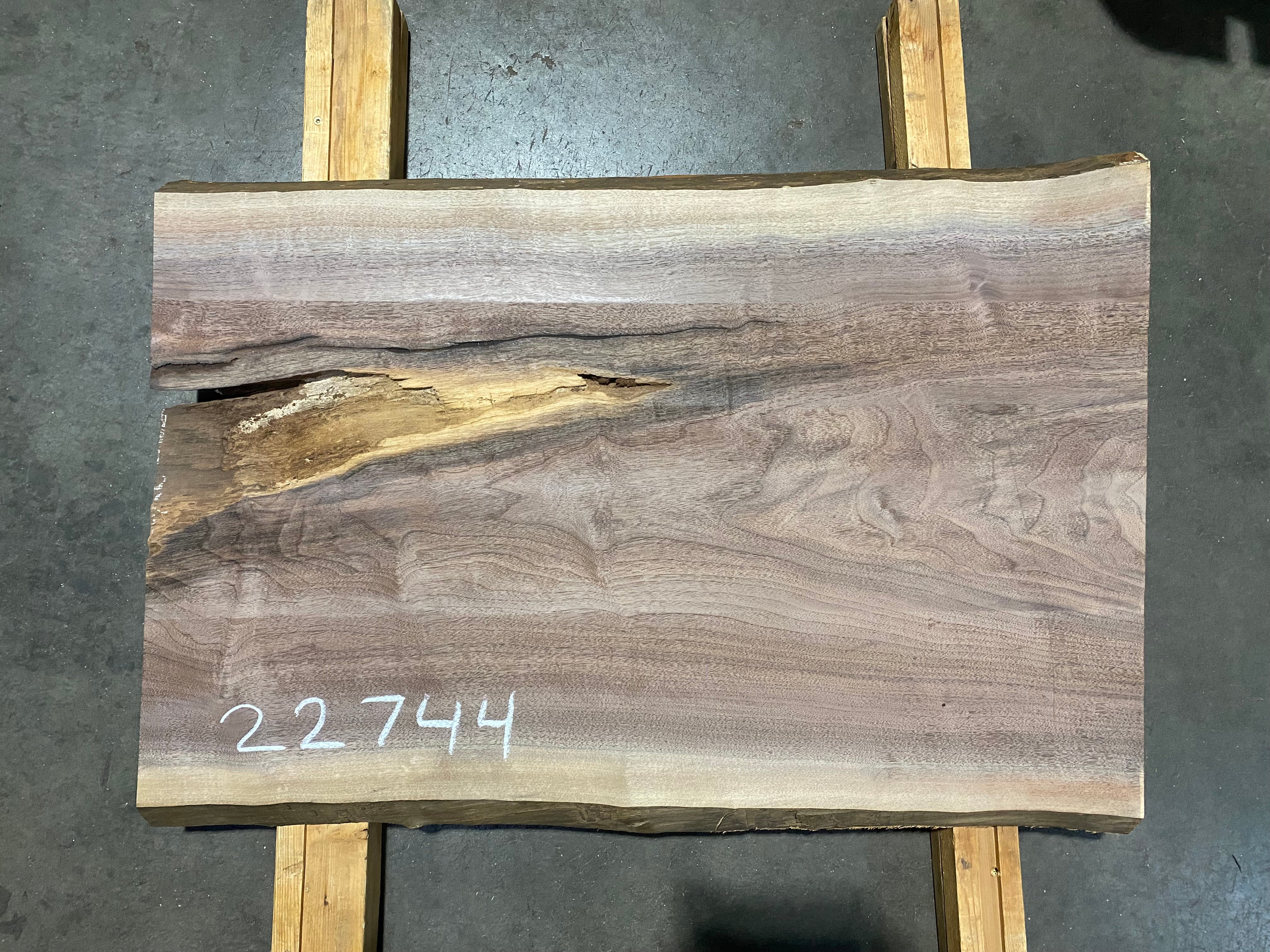Black Walnut 22744 (37'' x 24