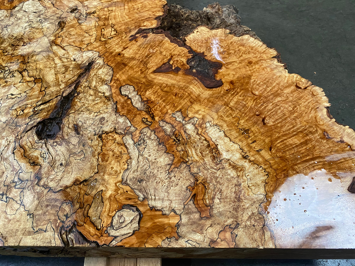 Maple Burl #C2 (42