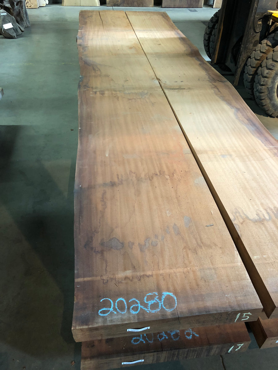 A live edge sipo mahogany slab of wood – Collector's Specialty Woods