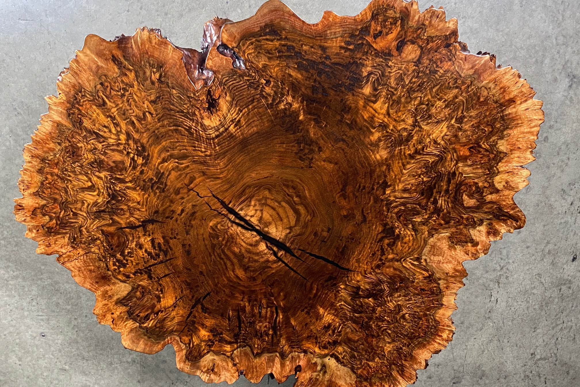 Burl Coffee Table