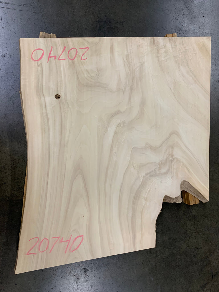 Colorado Cottonwood #20740 (46" x 29"- 42" x 2.25")