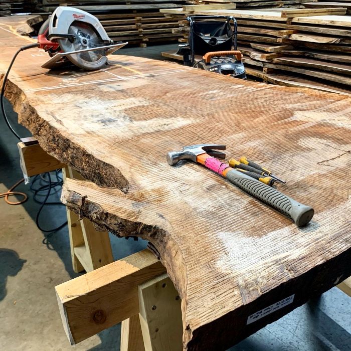 Walnut Slab with a circular saw and other tools ready to be used!