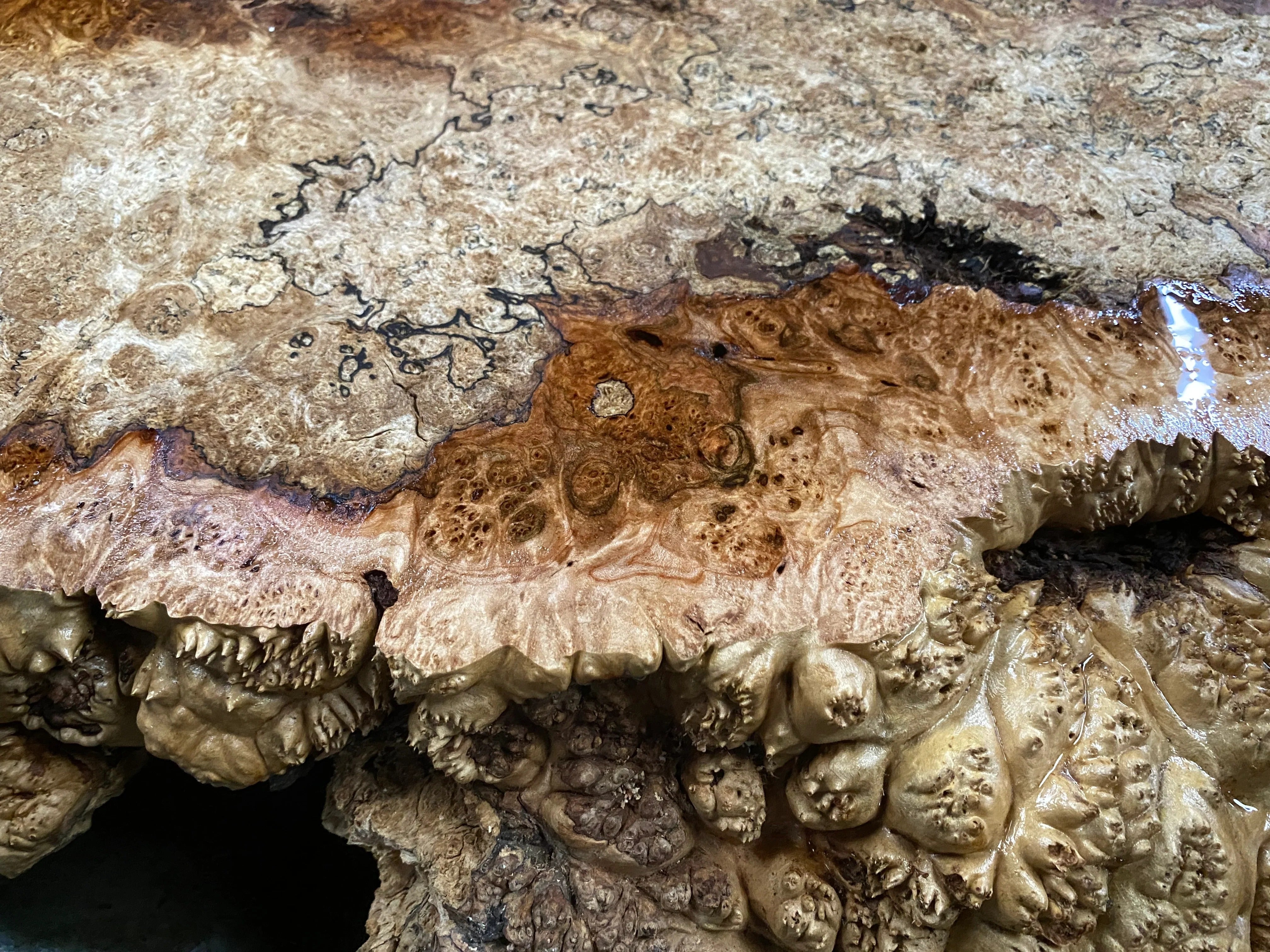 burl wood