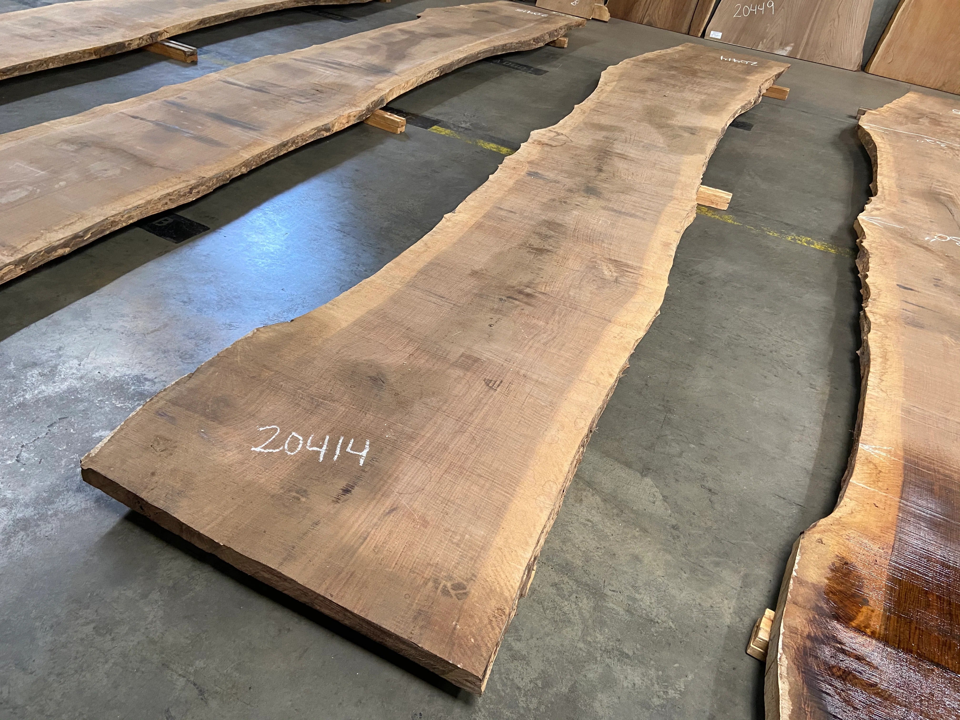 Bastogne Walnut Slabs