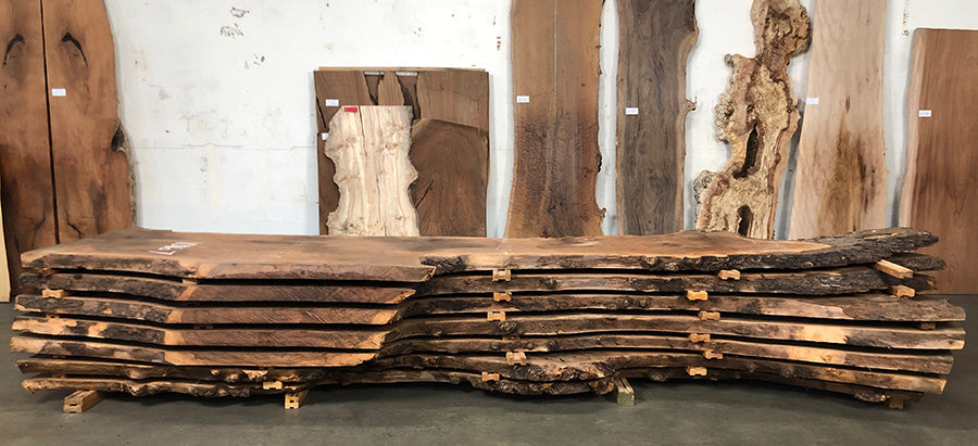 Walnut (All Subspecies)