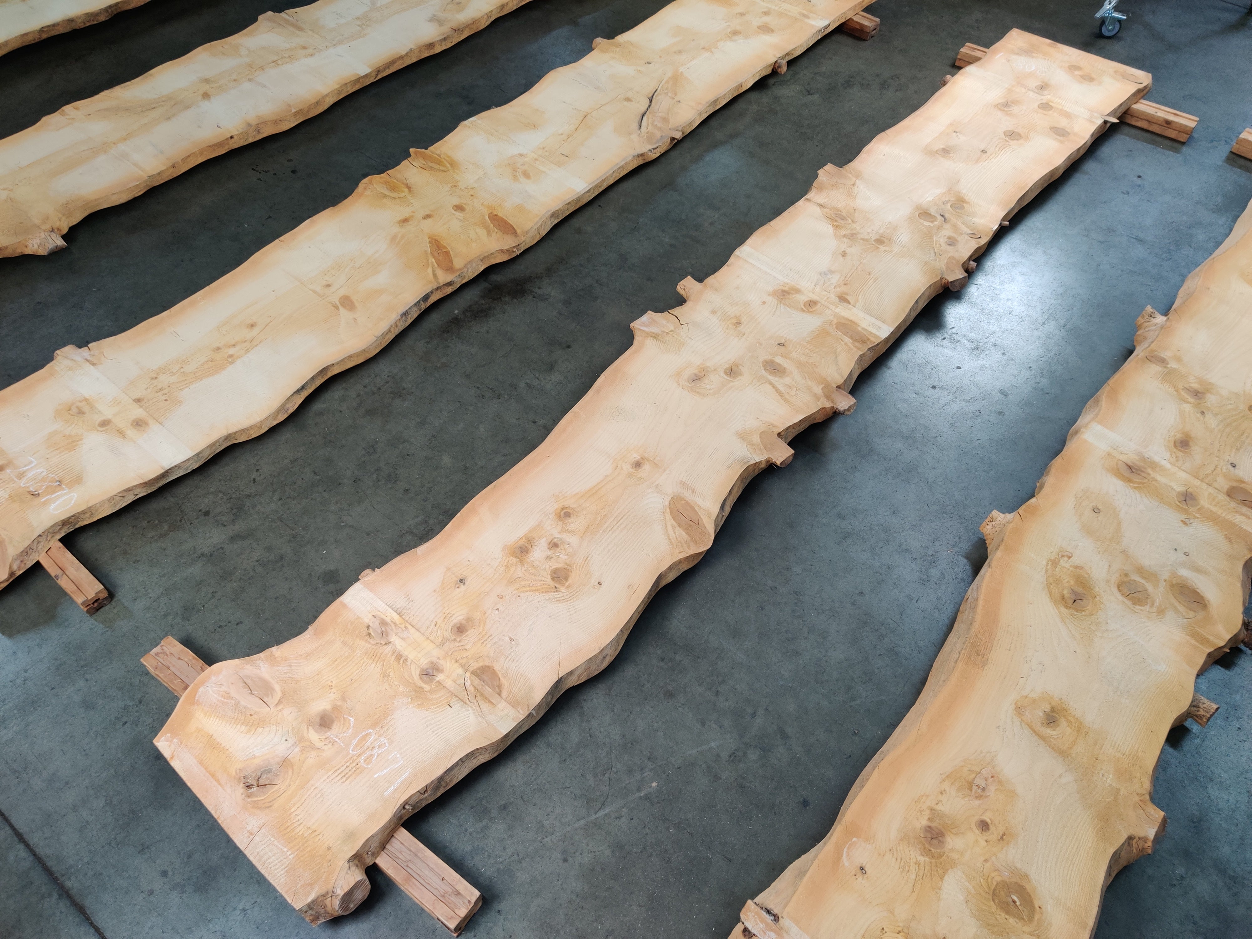 blue spruce slabs