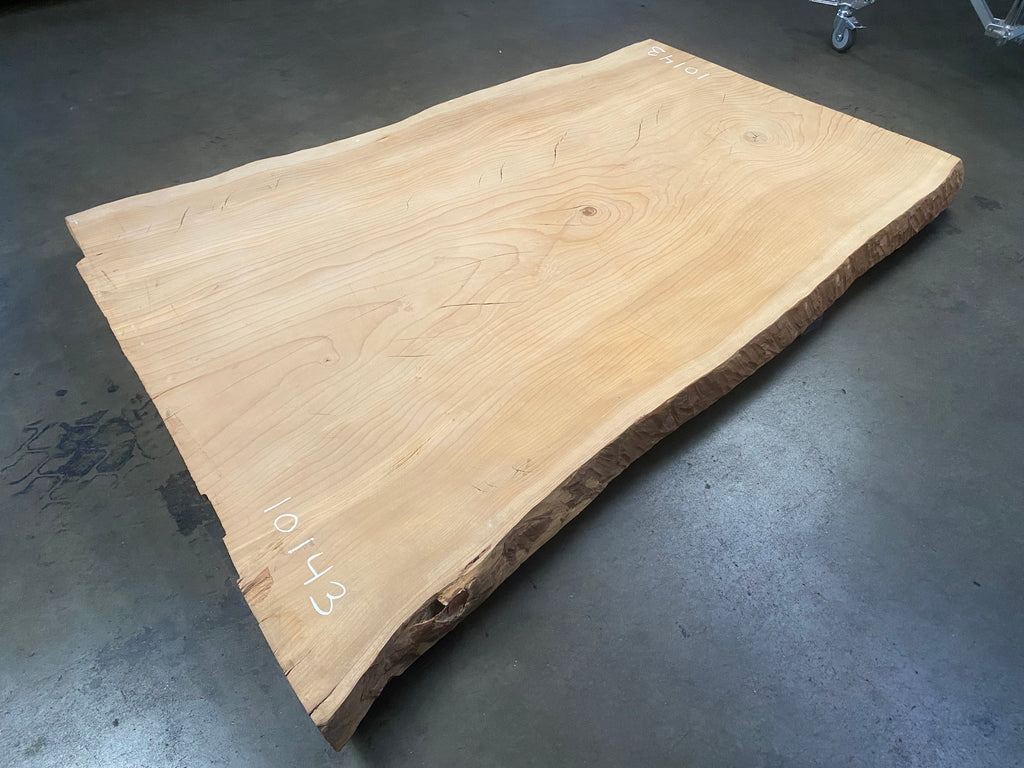 Deodar Cedar #10143 (72" x 43" to 54" x 2.75")