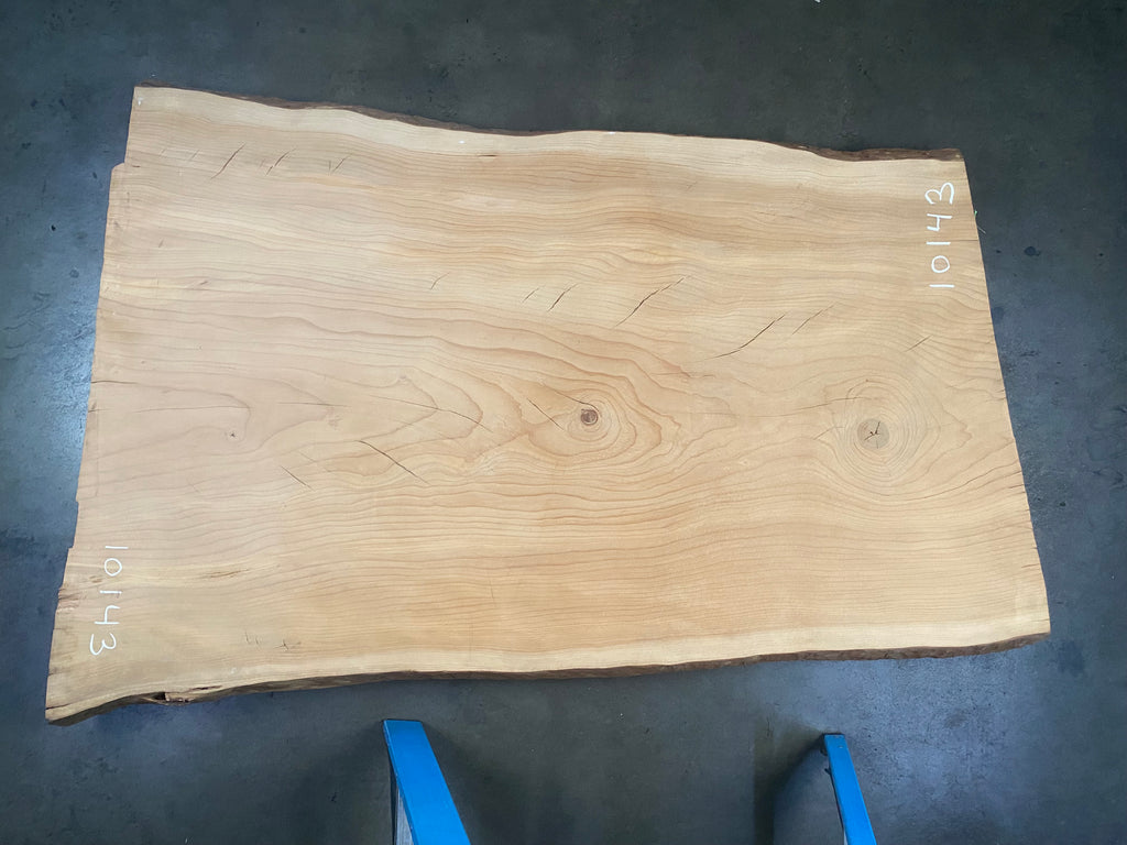 Deodar Cedar #10143 (72" x 43" to 54" x 2.75")