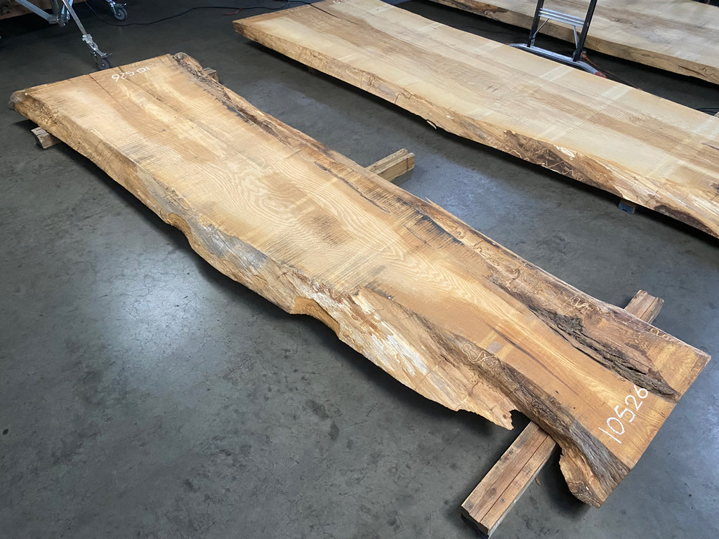 White Oak 10526 (124'' x 23"-40" x 3'')