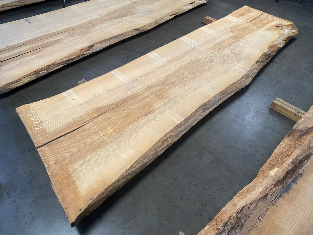 White Oak 10529 (123.5'' x 34"-44" x 3'')