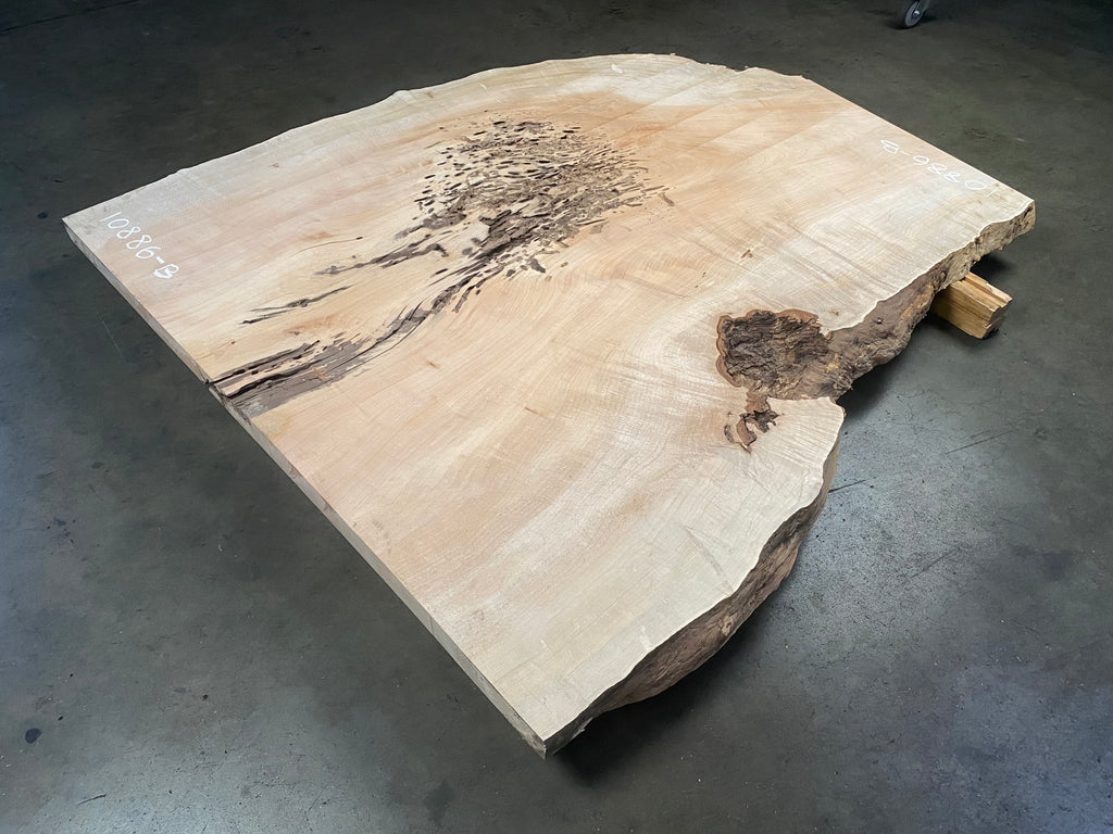 Maple #10886-B (61" x 26"- 54" x 2.125")