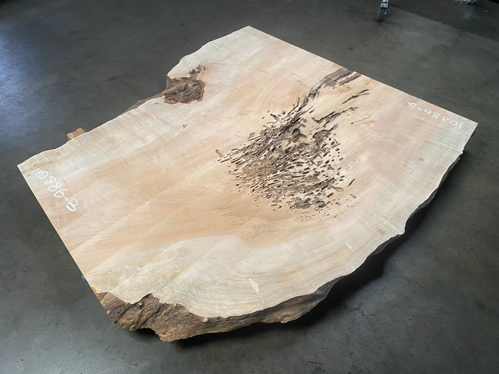 Maple #10886-B (61" x 26"- 54" x 2.125")