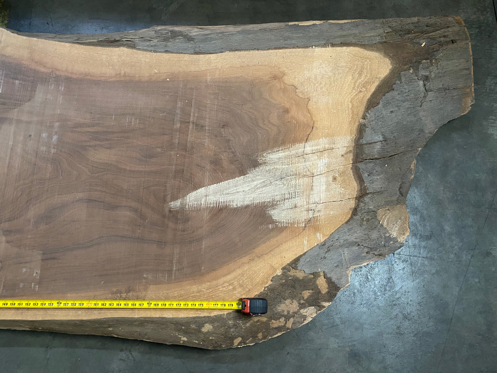 Black Walnut 20201 (192'' x 45"-58" x 3'')