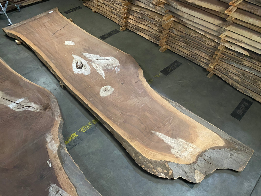 Black Walnut 20201 (192'' x 45"-58" x 3'')