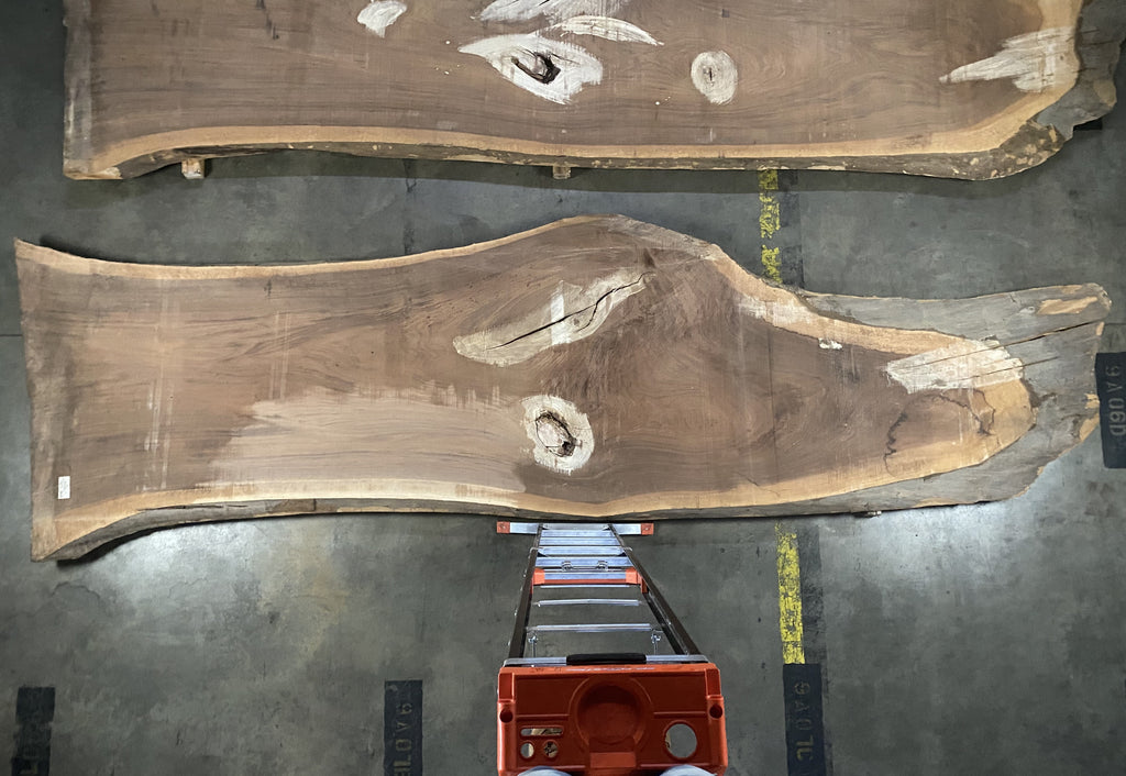 Black Walnut 20202 (180'' x 39"-58" x 3'')