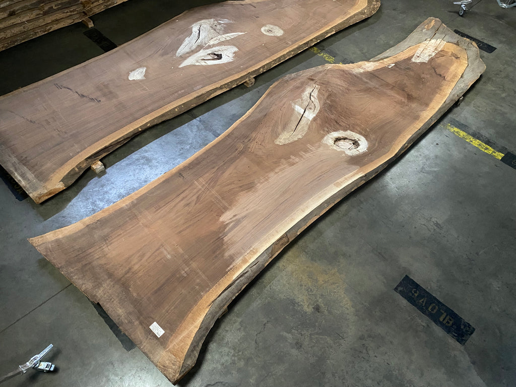 Black Walnut 20202 (180'' x 39"-58" x 3'')