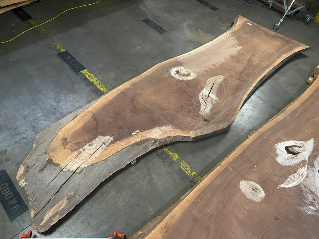 Black Walnut 20202 (180'' x 39"-58" x 3'')