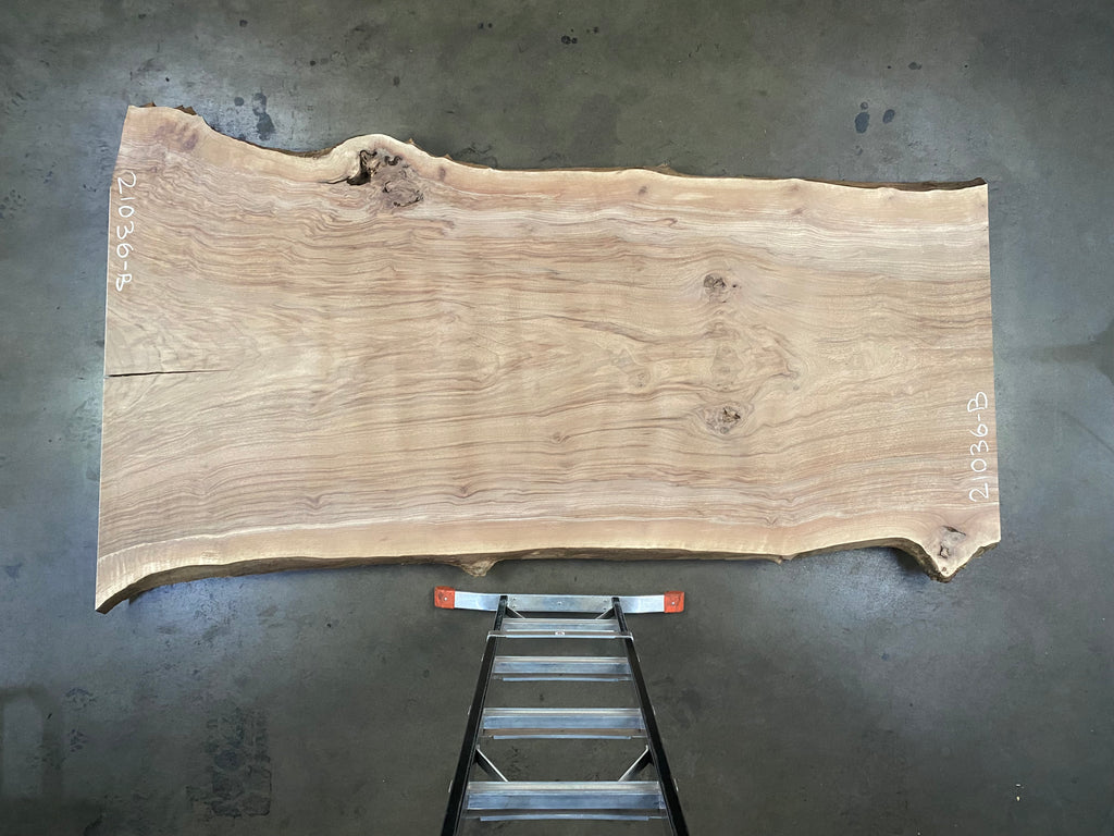 Oregon Black Walnut #21036-B (100" x 42"- 55" x 2")