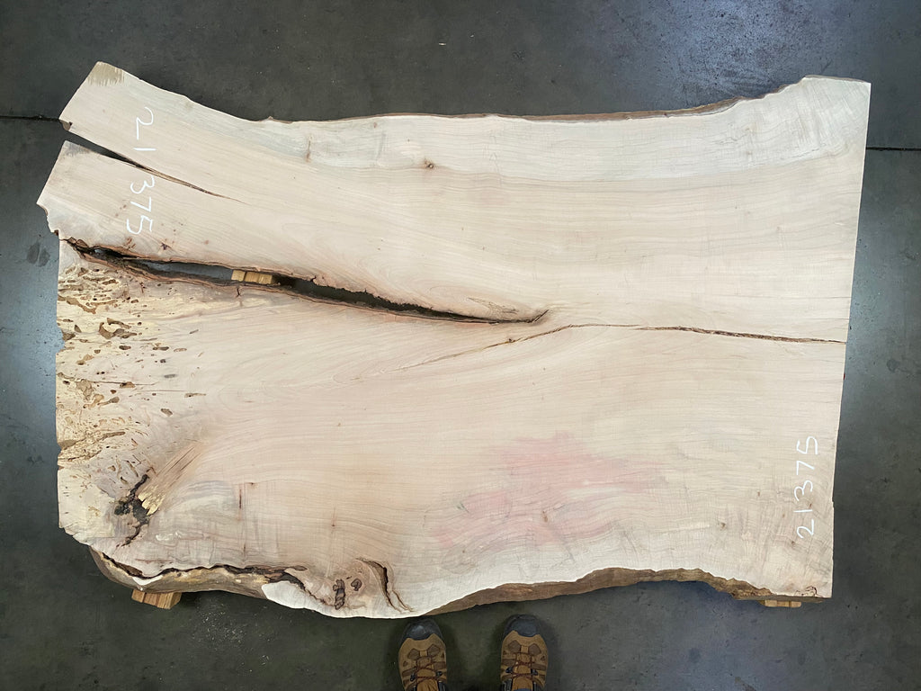 Colorado Maple #21375 (66" x 41" to 47" x 1.625")