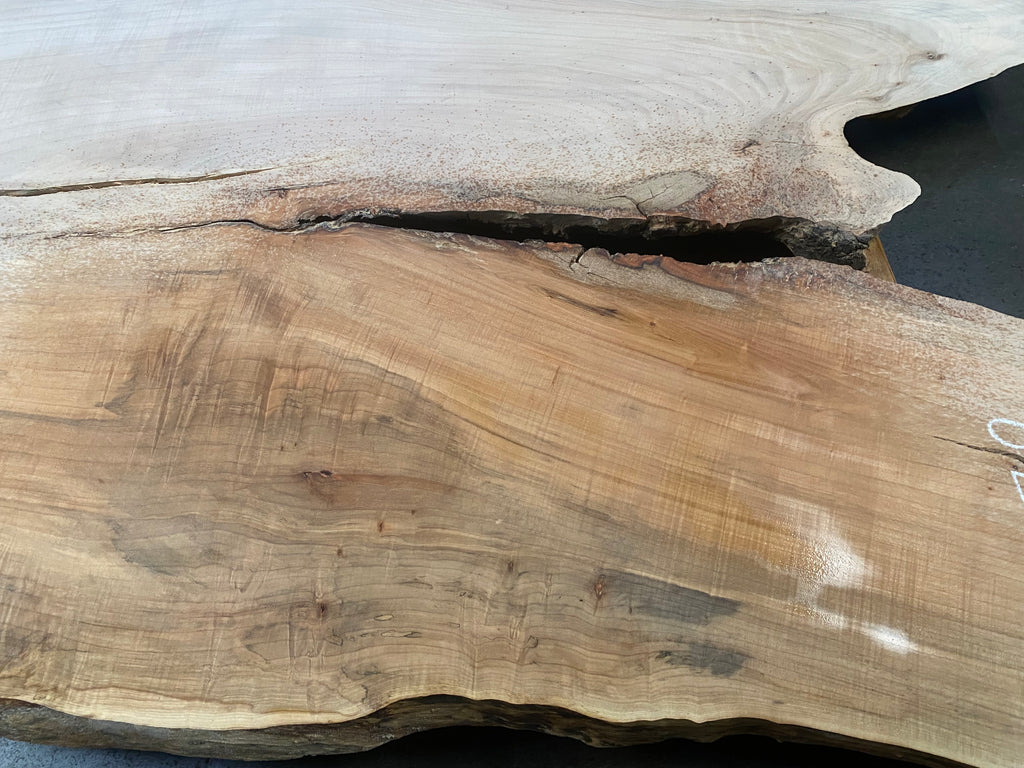 Colorado Maple #21379 (59" x 40" to 47" x 1.75")