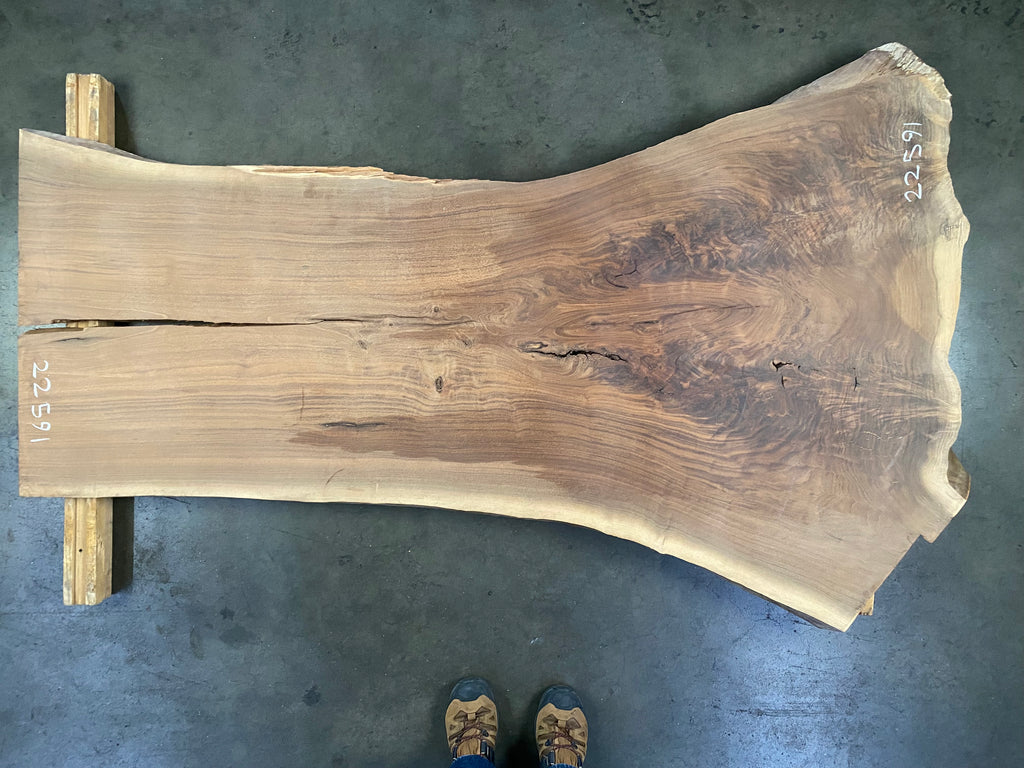 Black Walnut 21591 (73'' x 25"-42" x 1.625'')