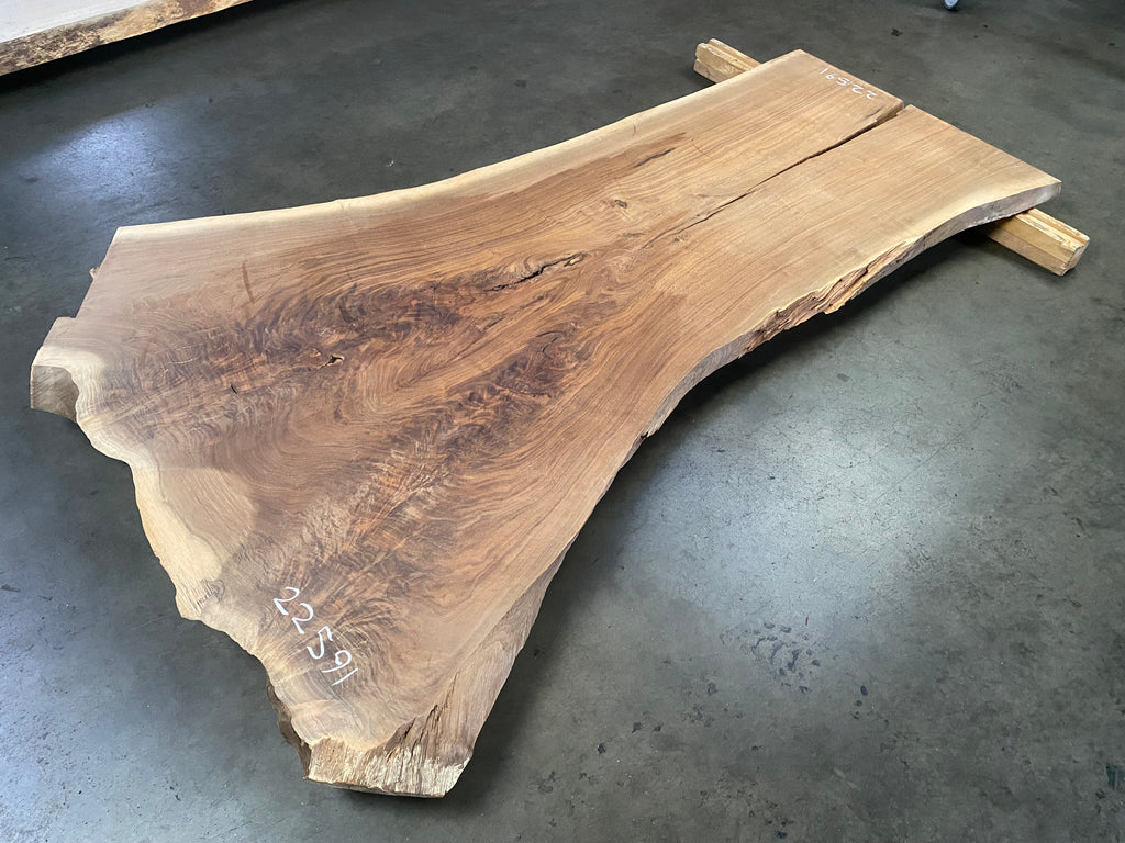 Black Walnut 21591 (73'' x 25"-42" x 1.625'')