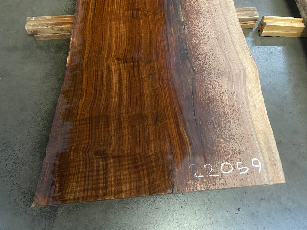 Oregon Black Walnut #22059 (155" x 27.5"- 45" x 2.125")