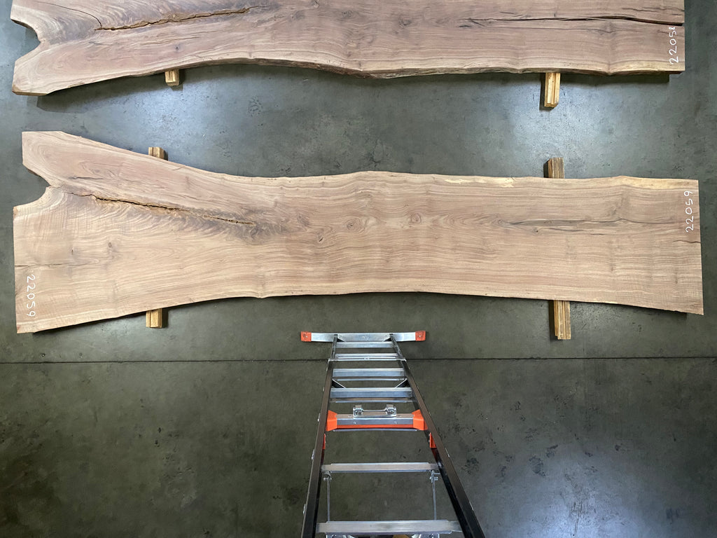 Oregon Black Walnut #22059 (155" x 27.5"- 45" x 2.125")