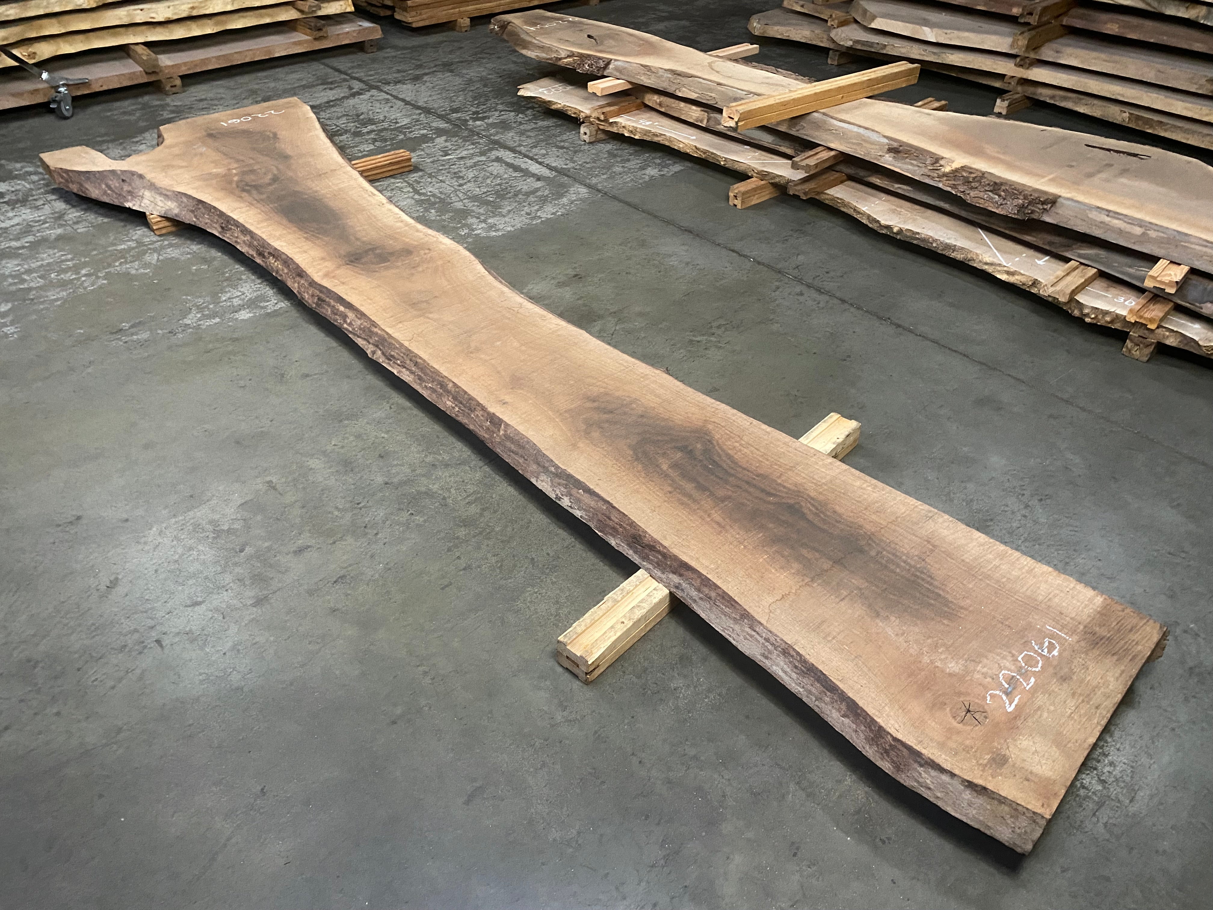 Oregon Black Walnut 22061 (156'' x 21.5