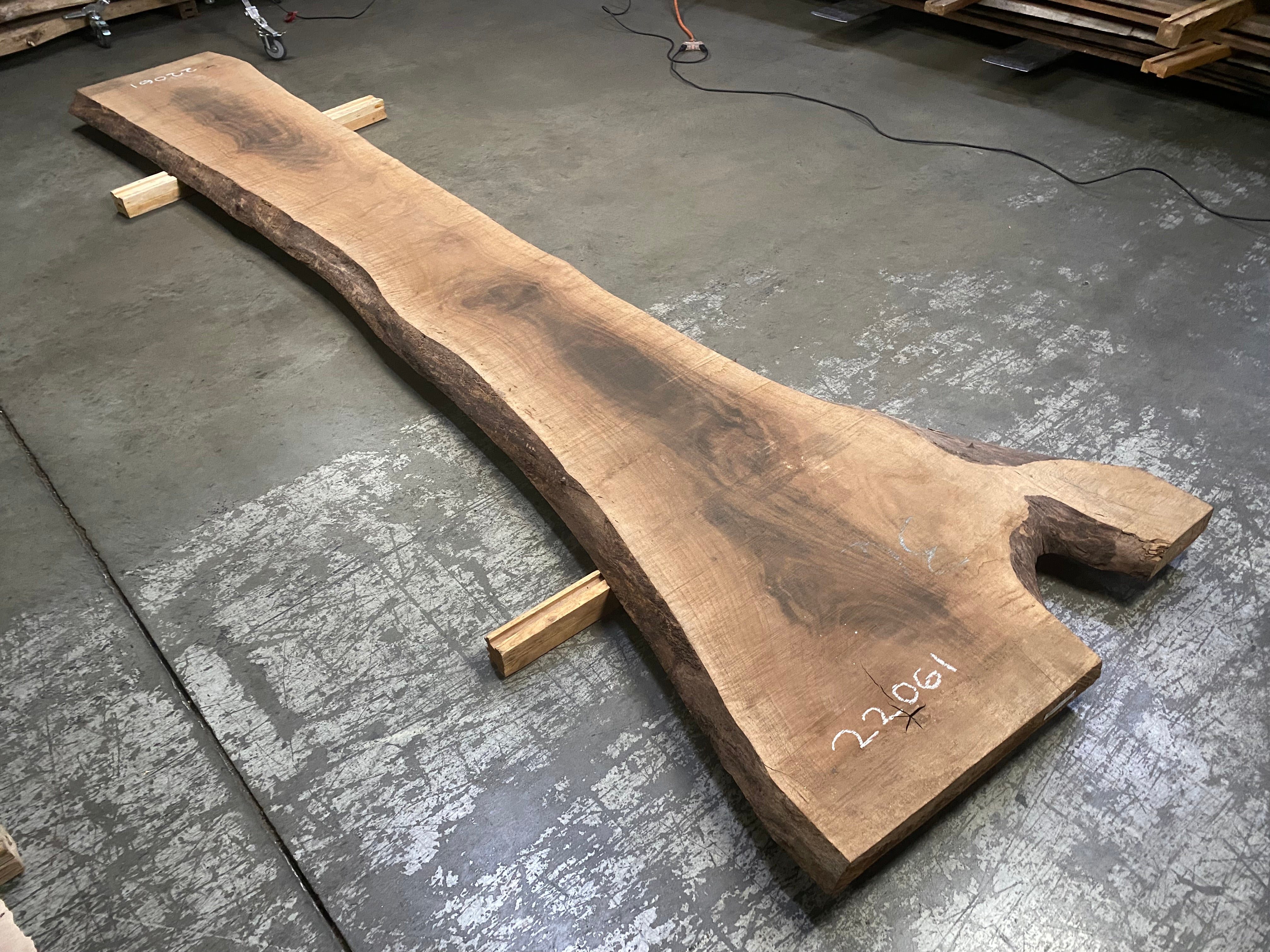 Oregon Black Walnut 22061 (156'' x 21.5