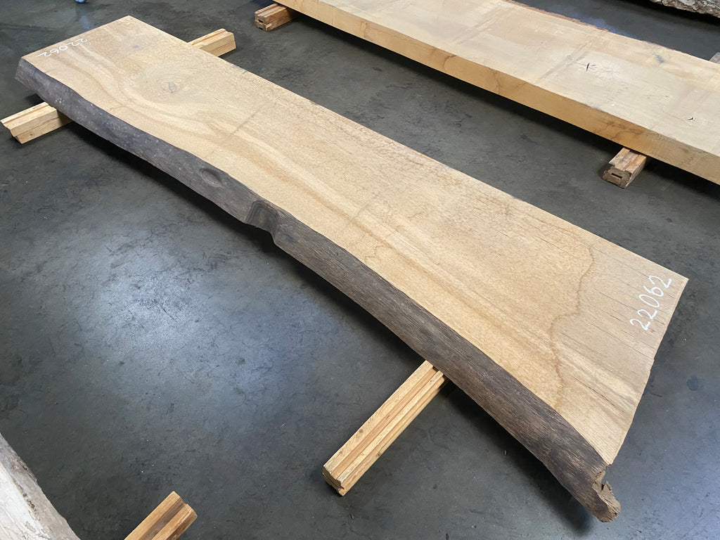 White Oak 22062 (102'' x 22.5"-27" x 3'')