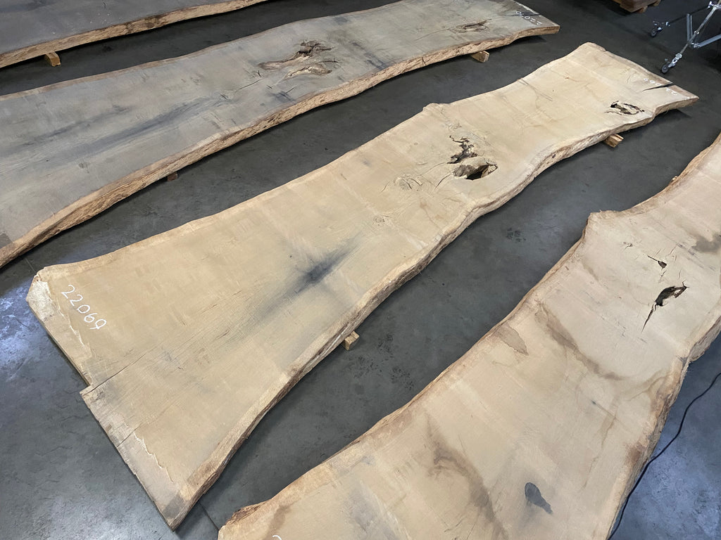 White Oak 22069 (214'' x 37"-54" x 2.875'')