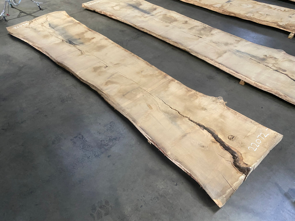 White Oak 22072 (214'' x 40"-53" x 3'')