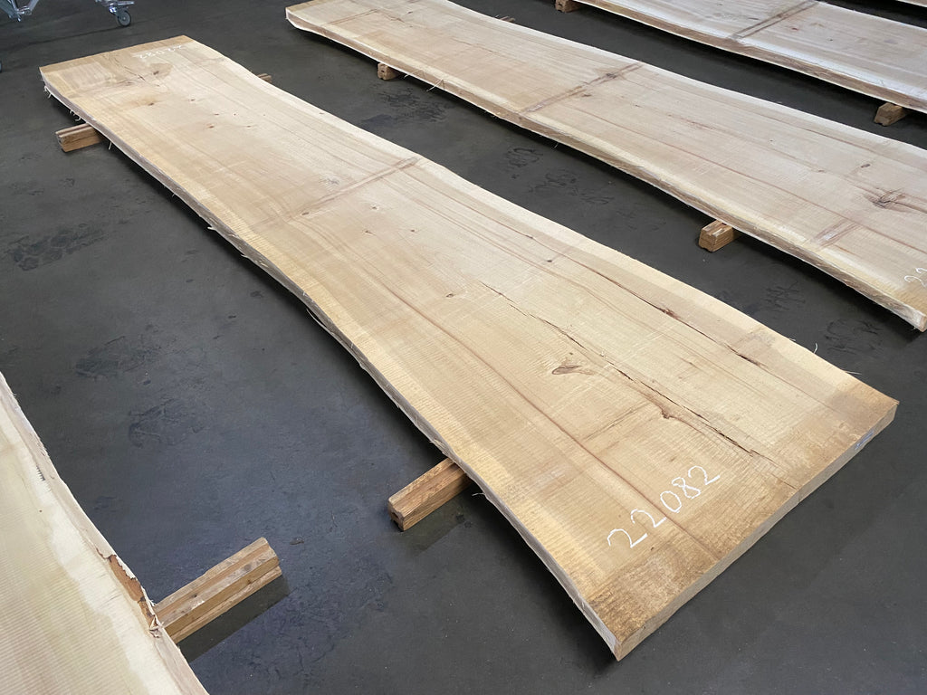 Cottonwood 22082 (155'' x 31"-39.5" x 2.375'')