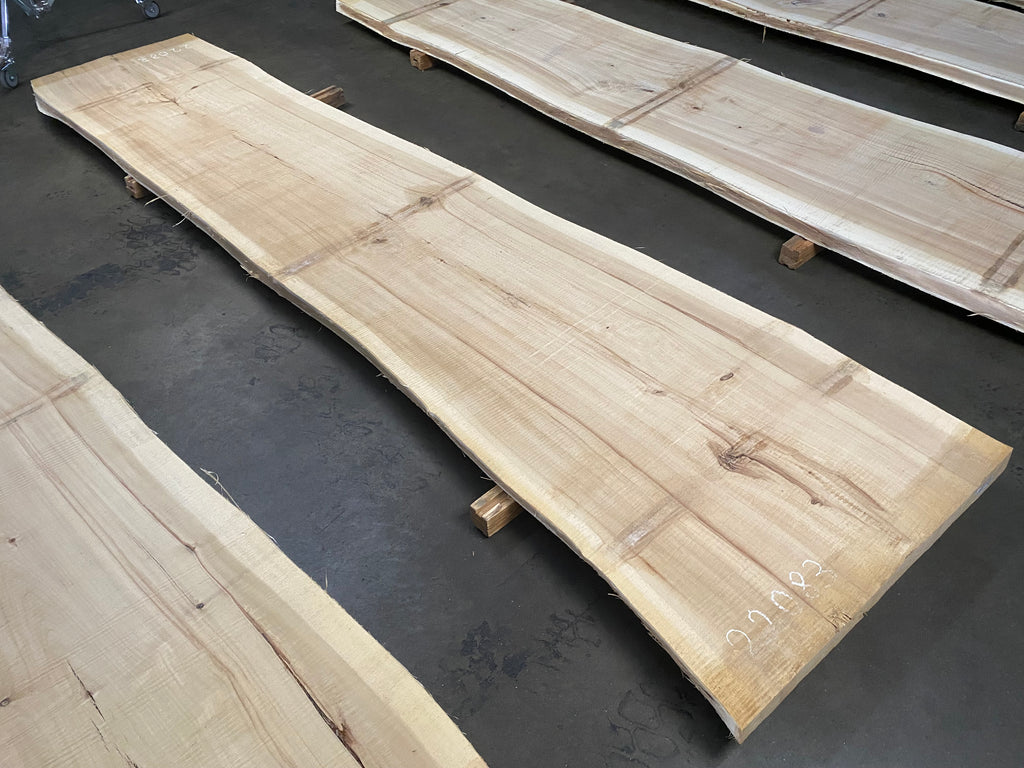 Cottonwood 22083 (155'' x 32"-39" x 2.375'')