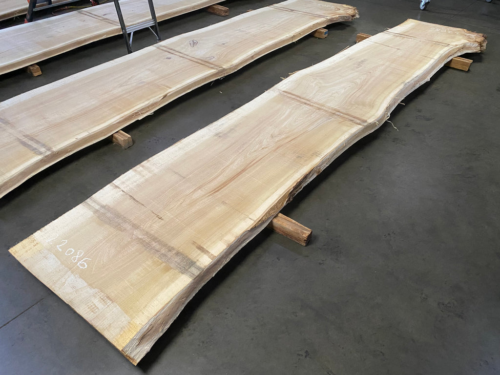 Cottonwood 22086 (156'' x 29"-32" x 2.5'')