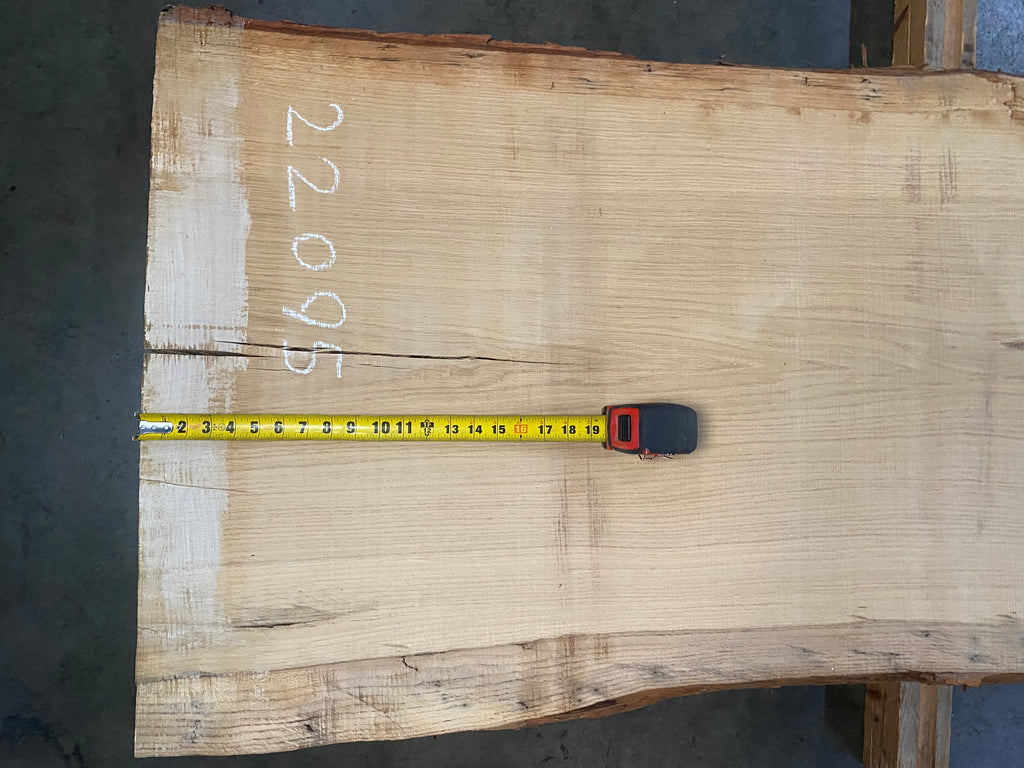 White Oak 22095 (173'' x 23"-31" x 2.375'')