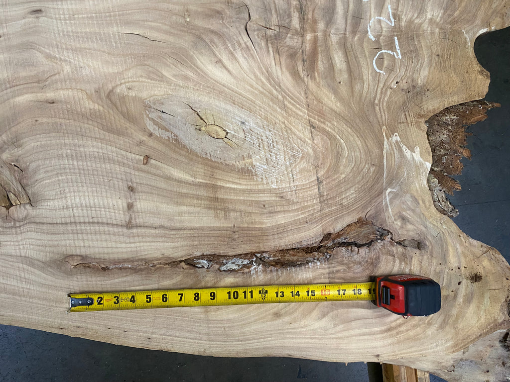 Elm 22109 (120'' x 25.5"-35" x 2.5'')