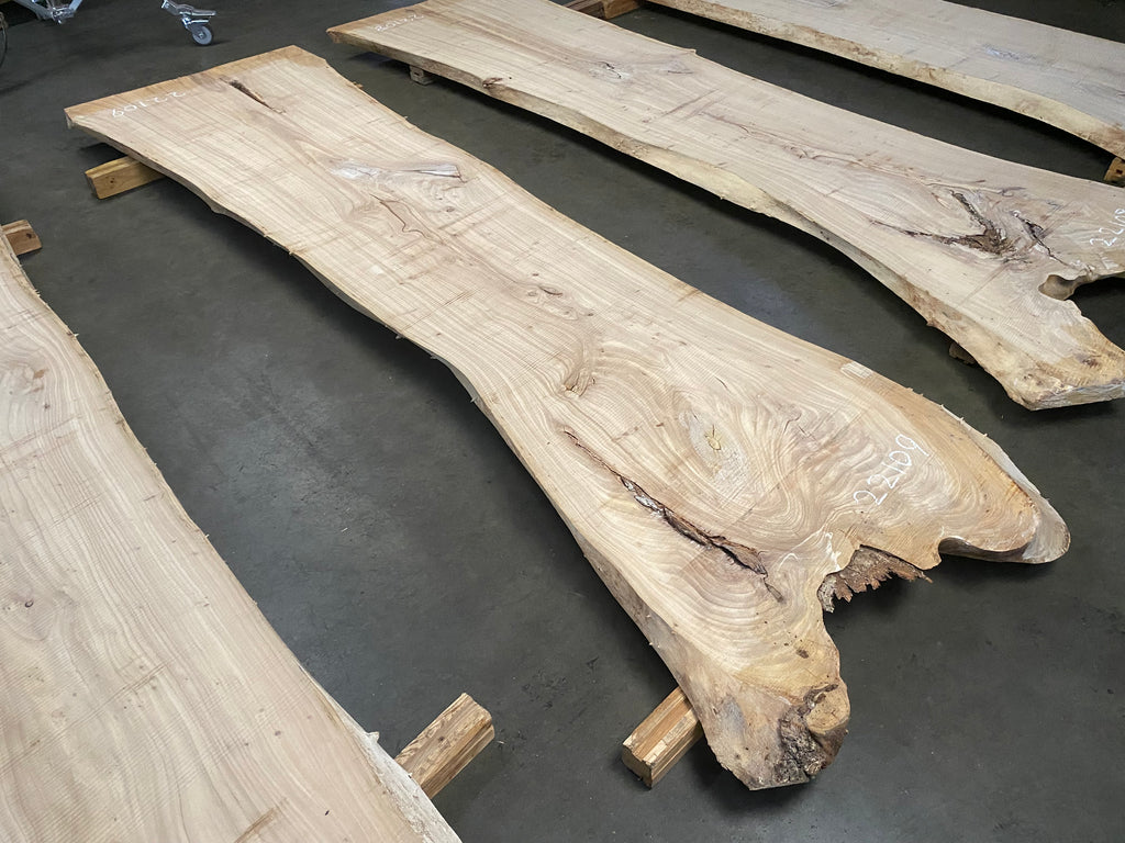 Elm 22109 (120'' x 25.5"-35" x 2.5'')