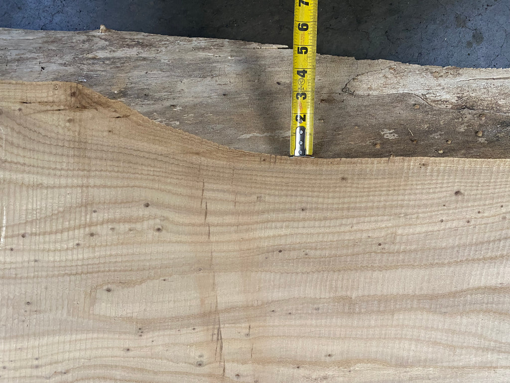 Elm 22113 (130'' x 20"-35" x 2'')