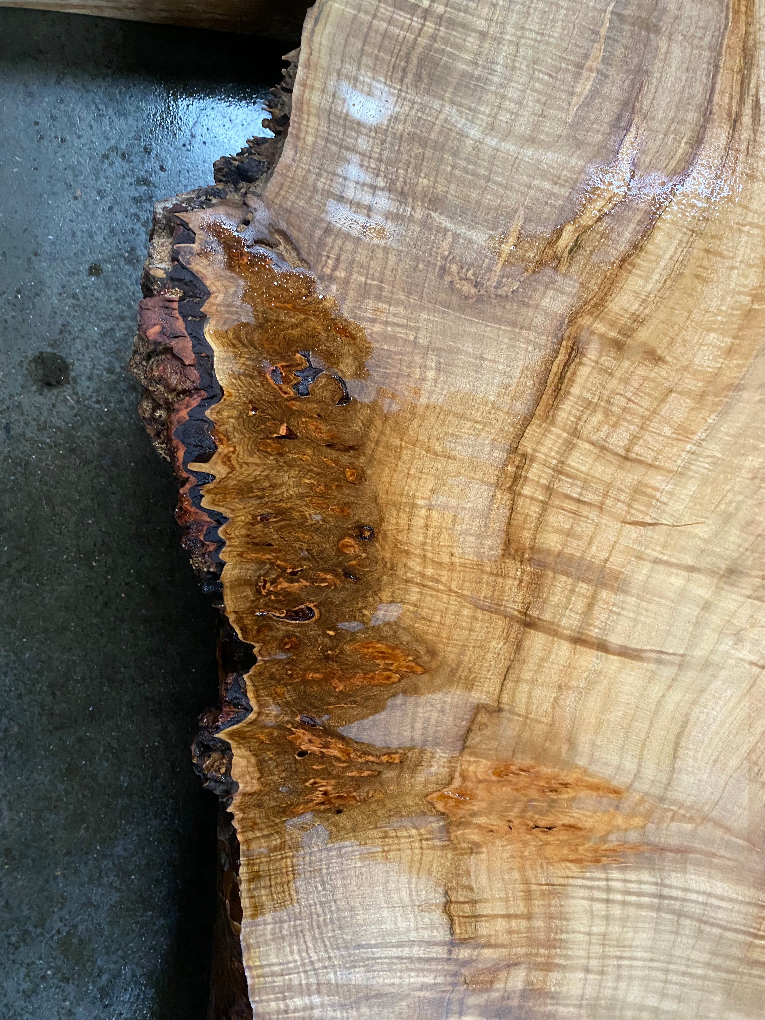 Maple 22138 (92.5'' x 22 Maple 22138 (92.5'' x 22