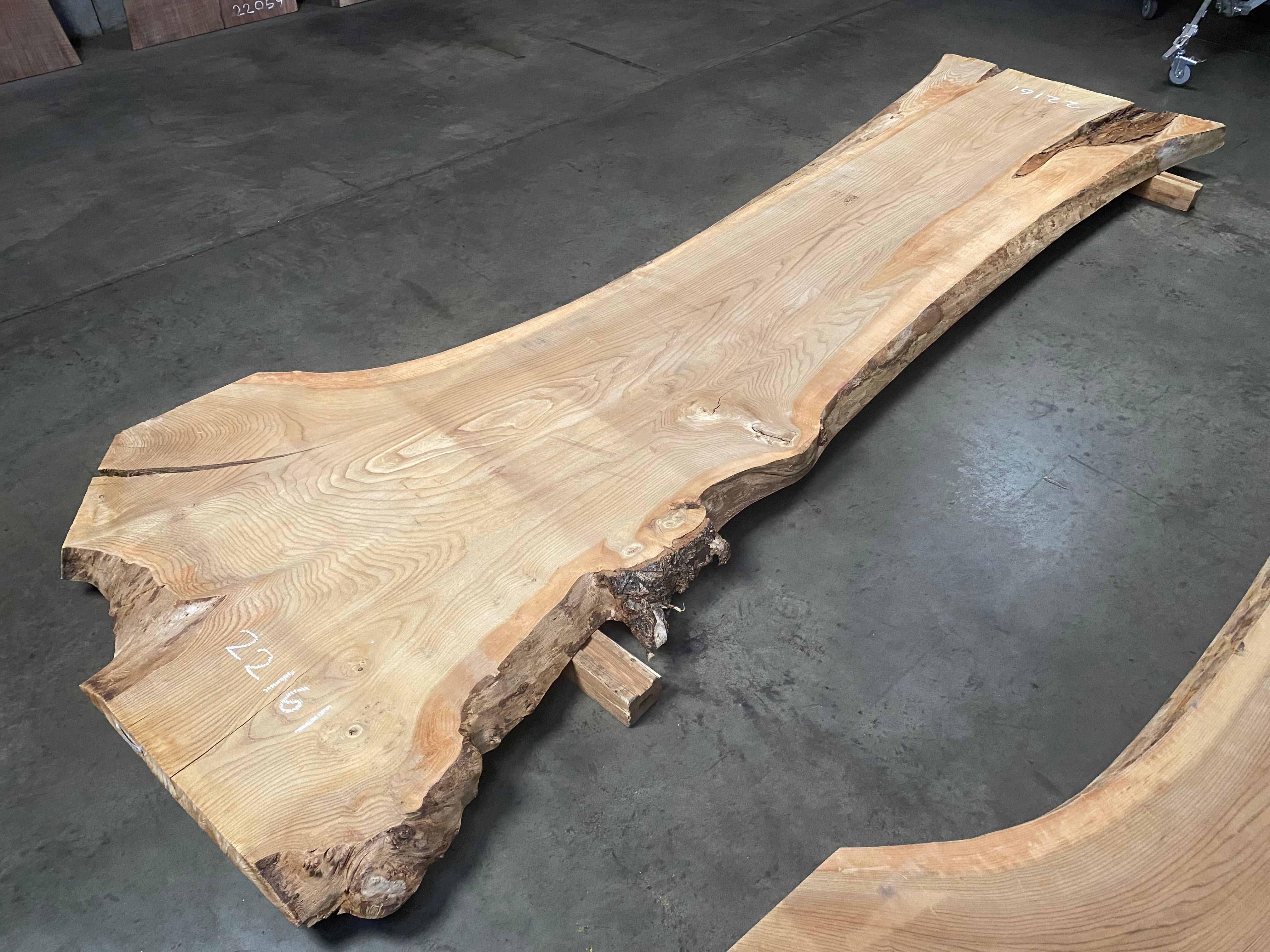 その他 sala tree Elm 22161 (136'' x 31