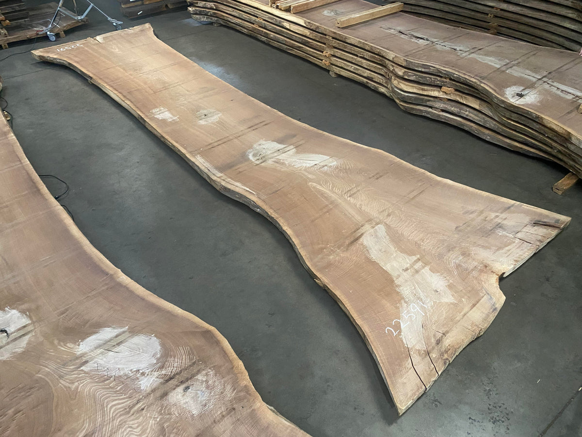 74x2 Black Walnut 22591 (228'' x 42