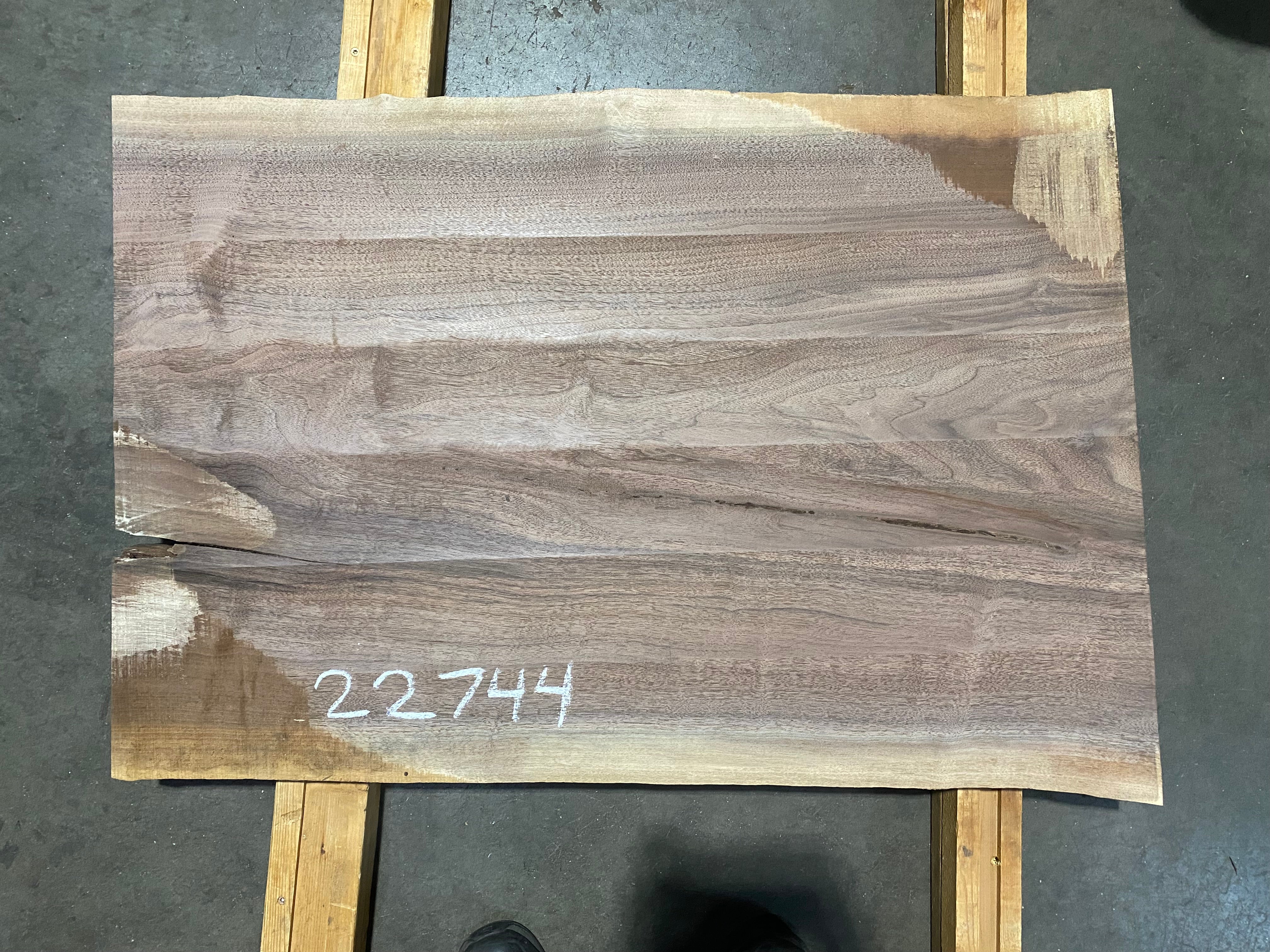 Black Walnut 22744 (37'' x 24
