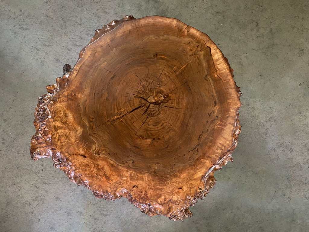 Claro Walnut Orchard Round