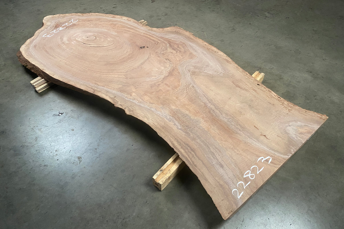 Oregon Walnuts Oregon Black Walnut – Collector's Specialty Woods